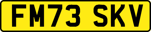 FM73SKV