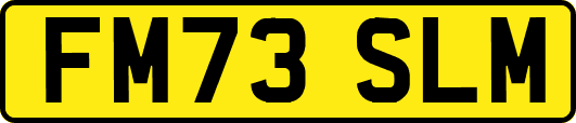 FM73SLM