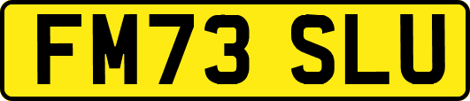 FM73SLU