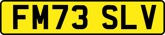 FM73SLV