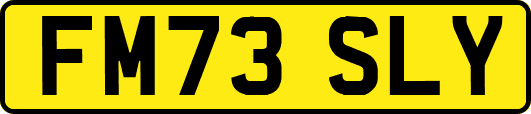 FM73SLY