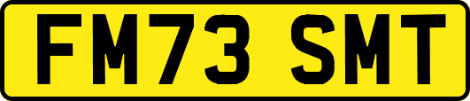 FM73SMT