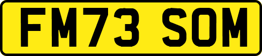FM73SOM