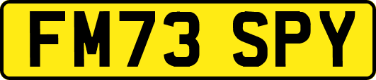 FM73SPY