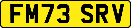 FM73SRV