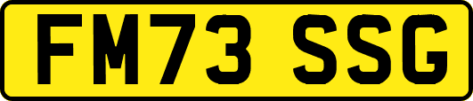 FM73SSG
