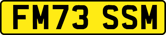 FM73SSM