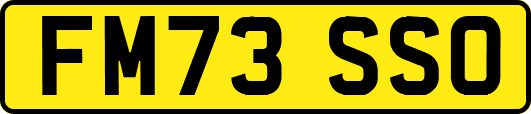 FM73SSO