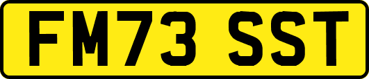FM73SST