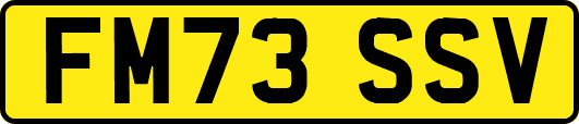 FM73SSV