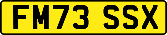 FM73SSX