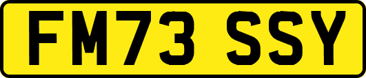FM73SSY