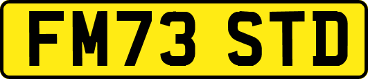 FM73STD