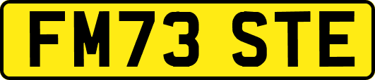 FM73STE