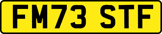FM73STF