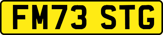 FM73STG