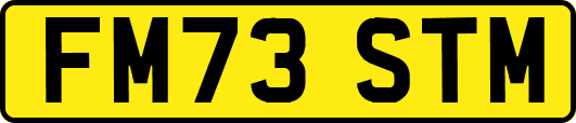 FM73STM
