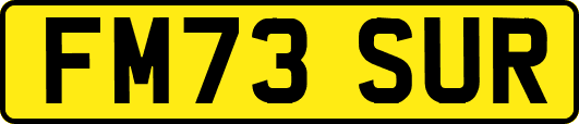 FM73SUR