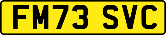 FM73SVC