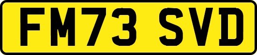 FM73SVD