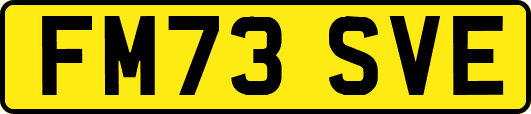 FM73SVE