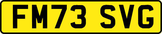 FM73SVG