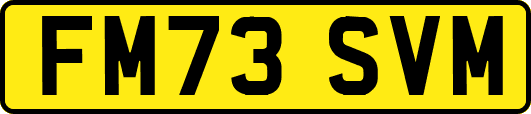 FM73SVM