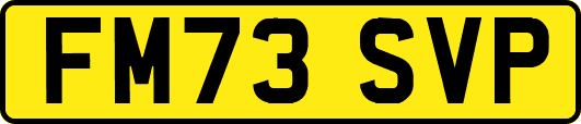 FM73SVP