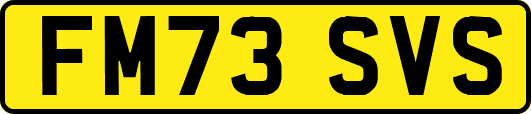 FM73SVS