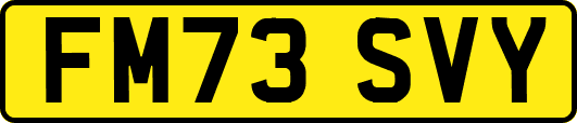 FM73SVY