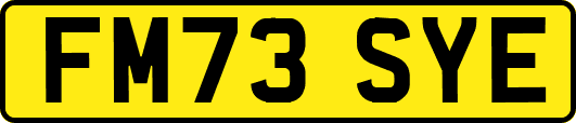 FM73SYE