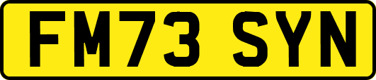 FM73SYN