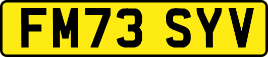 FM73SYV