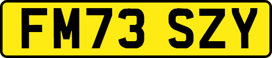 FM73SZY
