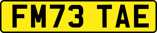 FM73TAE