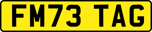 FM73TAG