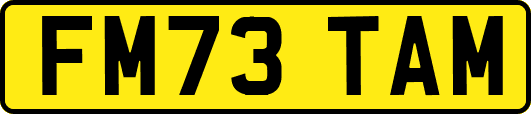 FM73TAM