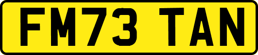 FM73TAN