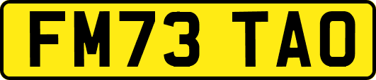 FM73TAO