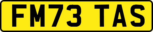 FM73TAS
