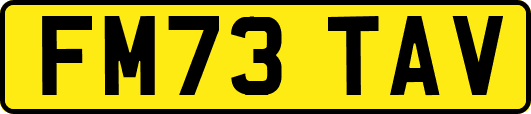 FM73TAV