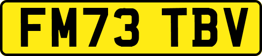 FM73TBV