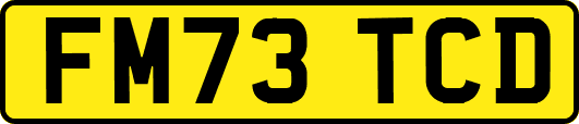 FM73TCD