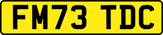 FM73TDC