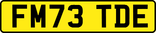 FM73TDE