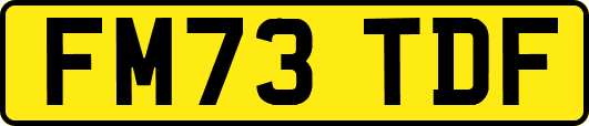 FM73TDF