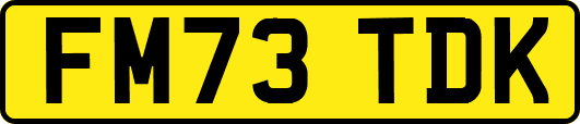 FM73TDK