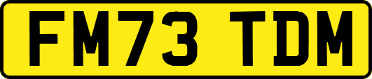 FM73TDM