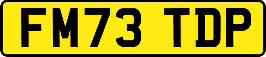 FM73TDP