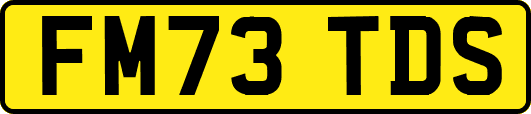 FM73TDS